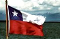 Fuerza Chile! por Maria Jose Bustamante