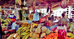 calendario económico completo latinoamericano. Mercado de frutas Barranquilla, Atlantico, Colombia