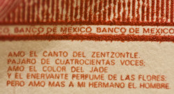 Poema en Billete de $100 Pesos mexicanos por nextick