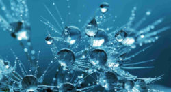Fertilidad - Pruebas desde el teléfono - Gotas de agua