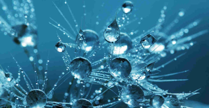 Fertilidad - Pruebas desde el teléfono - Gotas de agua