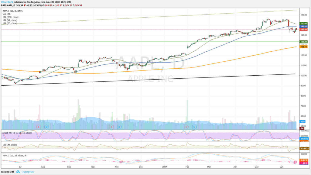 Gráfico diario acción Apple AAPL - último año